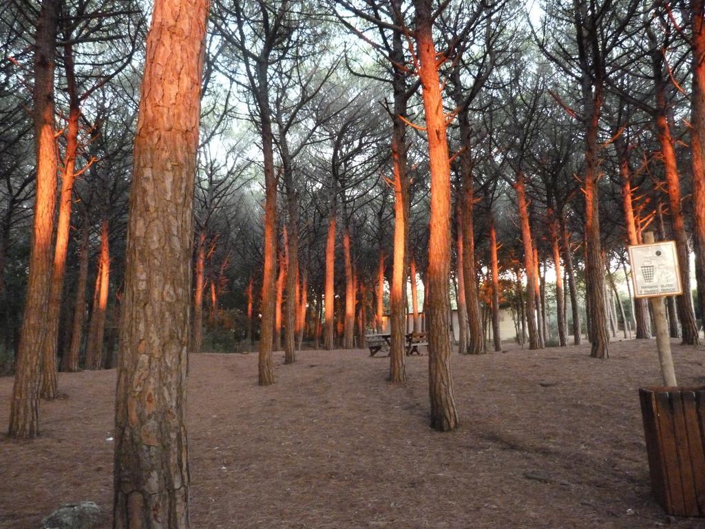 La Lampara 3*